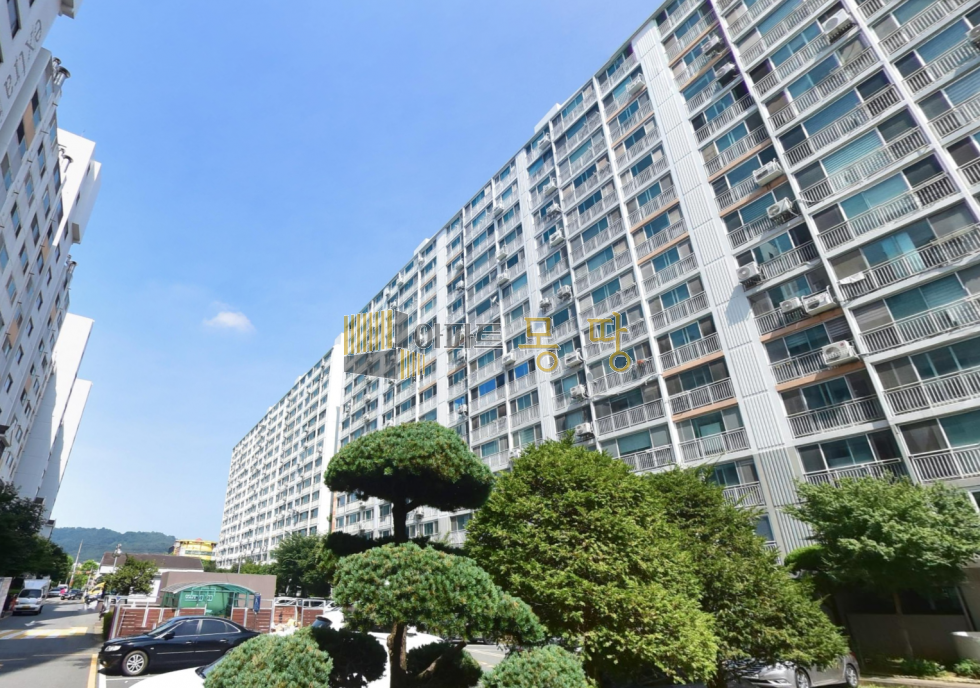 전북 전주완산구 서신동 서신동 LG아파트 103동 5 매매 매물번호 22234 사진 2